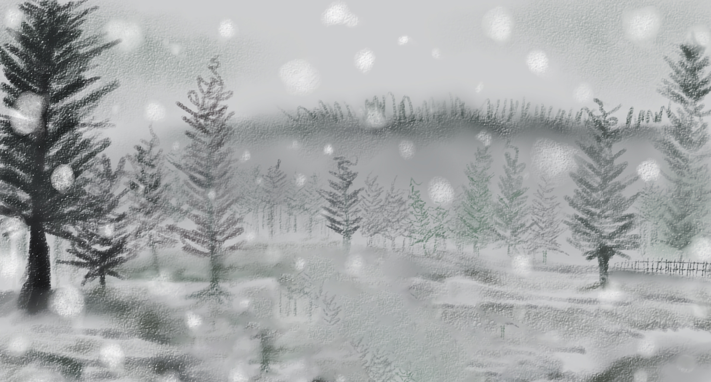 Snow in Summer.jpg