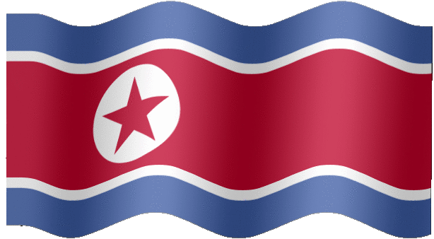 NK80085Flag.gif