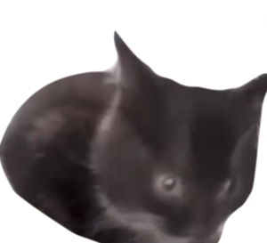 NO ITS MINE I OWN IT I DID NOT STEAL IT FROM ONLINE