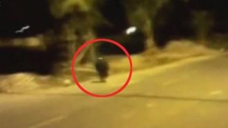 10 Real Goblin Caught on Camera - TOP 10 Gnoms and leprechauns exposed.jpeg