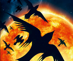 Photino Birds.webp