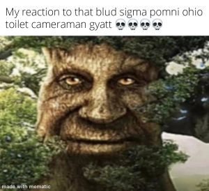 Lmaos