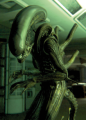 Thumbnail for version as of 18:30, 6 September 2024