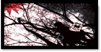 Picture33.png